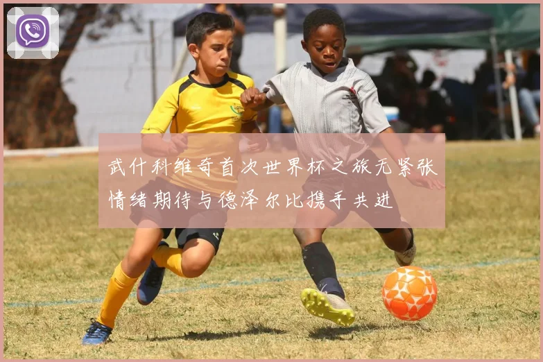 武什科维奇首次世界杯之旅无紧张情绪期待与德泽尔比携手共进
